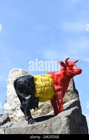 Cow | Vaches 05/05/2018 Stock Photo