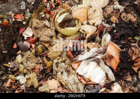 Defocus compost and composted soil cycle as a composting pile of rotting kitchen scraps with fruits and vegetable. Garbage waste turning into organic Stock Photo