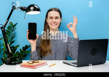 Smiling cute successful employee woman 20s in casual shirt sit work at office desk with laptop using mobile phone showing okay gesture, posing isolate Stock Photo