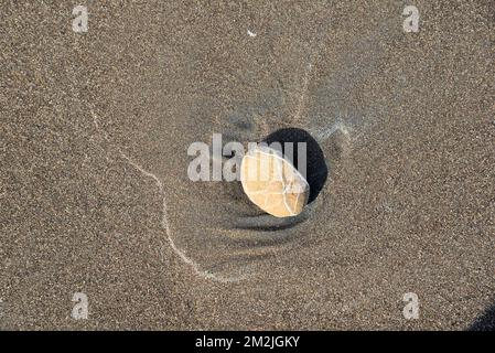 Rock stone on beach sand, Surwada Beach, Valsad, Gujarat, India Stock Photo
