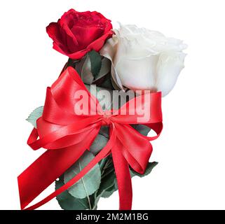 Beautiful white and red roses with bow isolated on white background Stock Photo