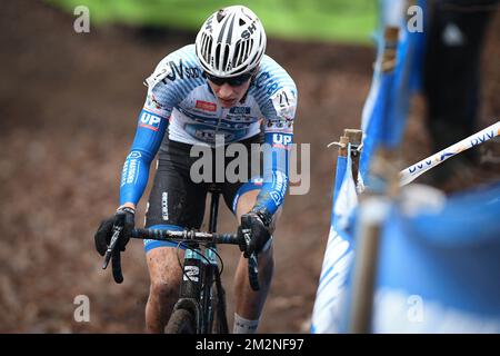 Dvv cyclocross sale