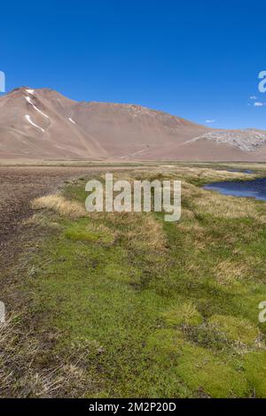 Landscape at Paso Vergara - crossing the border from Chile to Argentina while traveling South America Stock Photo