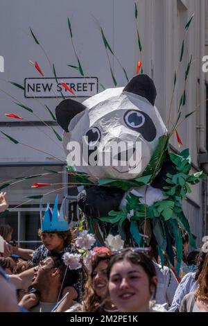 People carrying a large withy and paper structure of a Panda in the parade in the Mazey Day celebrations as part of the Golowan Festival in Penzance i Stock Photo