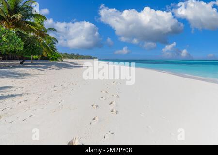 Sunny tropical beach with foot steps in white sand and palm trees on Maldives. Footprints on exotic beach landscape, tropical island shore, calm sea Stock Photo