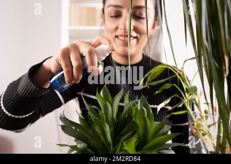 Spraying liquid fertilizer, portrait of smiling happy woman spraying liquid fertilizer or water to the house plant Sansevieria Zeylanica. Stock Photo