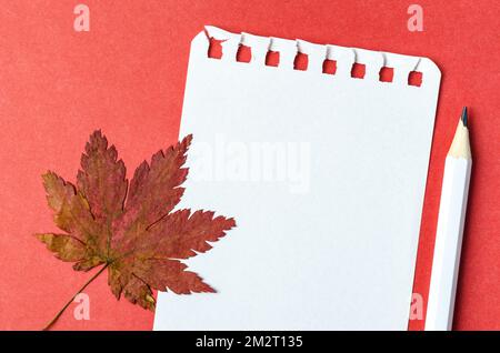 white blank paper page and wooden pencil with dried maple leaves on red cardboard. Stock Photo