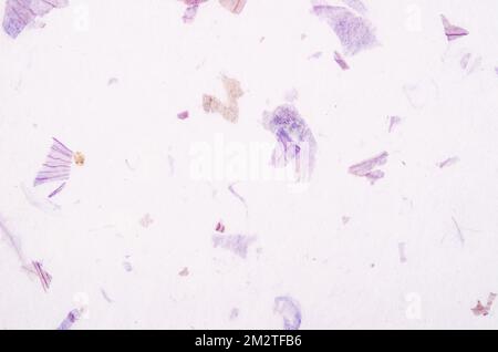 High Resolution Handmade Paper or Mulberry paper texture as background. Stock Photo