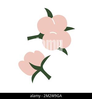 Cotton flower and ball. Symbol, logo or icon of natural eco organic textile, fabric. Vector illustration Stock Vector