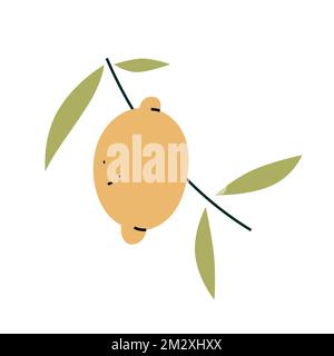lemon branch with leaves isolated on white background. Vector illustration Stock Vector