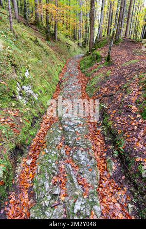 Celtic road, Roman road, Rottweg, historic track road near Klais, Werdenfelser Land, Upper Bavaria, Bavaria, Germany Stock Photo