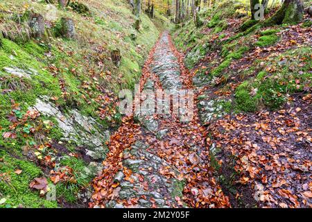 Celtic road, Roman road, Rottweg, historic track road near Klais, Werdenfelser Land, Upper Bavaria, Bavaria, Germany Stock Photo