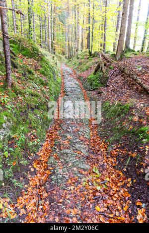 Celtic road, Roman road, Rottweg, historic track road near Klais, Werdenfelser Land, Upper Bavaria, Bavaria, Germany Stock Photo