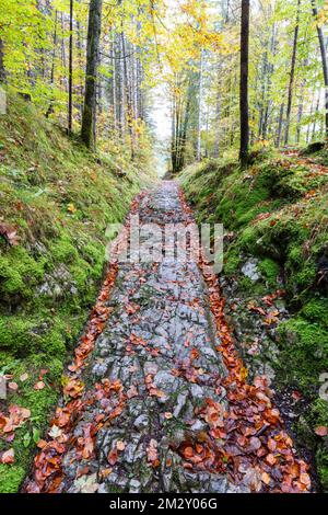 Celtic road, Roman road, Rottweg, historic track road near Klais, Werdenfelser Land, Upper Bavaria, Bavaria, Germany Stock Photo