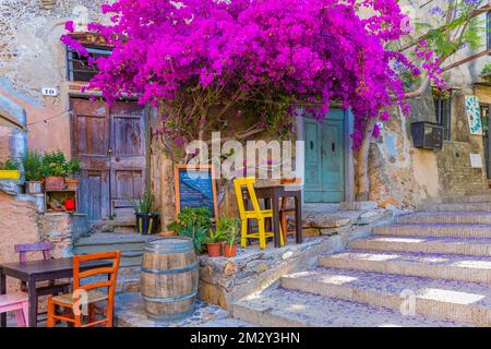 Street cafe in Via Cavour, above a purple bougainvillea (bougainvillea) bush, Capoliveri, Elba, Tuscan Archipelago, Tuscany, Italy Stock Photo