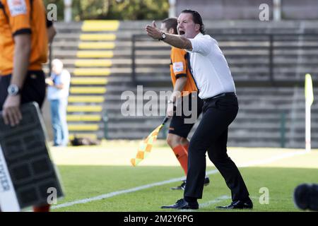 Beerschot's head coach Stijn Vreven pictured during a soccer match between SK Roeselare and Beerschot, Saturday 10 August 2019 in Roeselare, on day two of the 'Proximus League' 1B division of the Belgian soccer championship. BELGA PHOTO KRISTOF VAN ACCOM Stock Photo