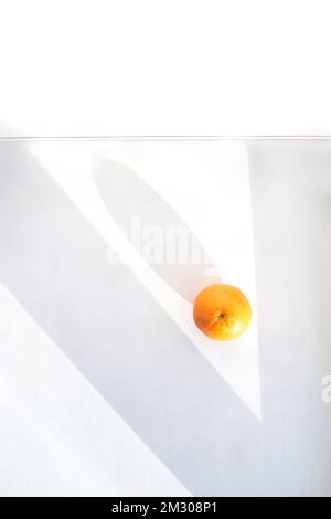 Summer coral orange slice. Top view. Citrus food diet. Fruit round juicy concept. Modern sweet cut photography. Bright color. Sunny piece creative design. Tropical vegetables. Summer vibe shadow Stock Photo