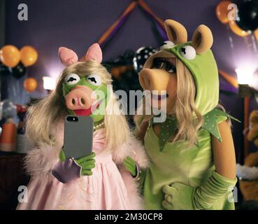 Muppets Haunted Mansion  Kermit & Miss Piggy Stock Photo