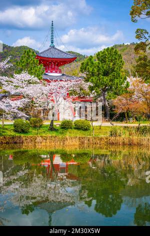 Kyoto, Japan at Daikaku-ji Temple in spring season. Stock Photo