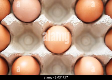 Eggs set. Many food protein. Colorful bright on background. Hard shadow. Easter sun box. Carton organic concept. Traditional cuisine top view. Flatlay Stock Photo