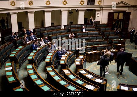 Illustration picture shows Vlaams Belang taking a group picture ahead of a plenary session of the chamber at the federal parliament in Brussels, Thursday 13 February 2020. BELGA PHOTO JASPER JACOBS Stock Photo