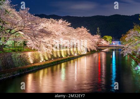 Kyoto, Japan on the Okazaki Canal during the spring cherry blossom season. Stock Photo