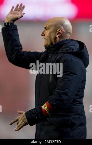 Oostende's head coach Dennis Van Wijk reacts during a soccer match between Royal Antwerp FC and KV Oostende, Saturday 29 February 2020 in Antwerp, on day 28 (out of 30) of the 'Jupiler Pro League' Belgian soccer championship season 2019-2020. BELGA PHOTO JASPER JACOBS Stock Photo