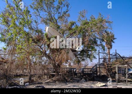 Boat stuck in the branches of a tree in the aftermath of Hurricane Katrina in Louisiana. (USA) Stock Photo