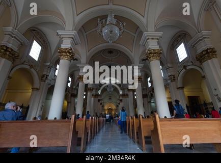 Primatial cathedral of Colombia inside neoclassical architecture Stock Photo