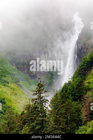 Bald Eagle; waterfalls; Valdez Arm; Prince William Sound; Alaska; USA Stock Photo