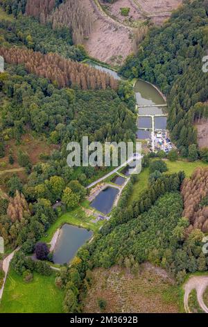 Aerial view, fish ponds fishing paradise Steinbachtal in Breckerfeld, Sauerland, North Rhine-Westphalia, Germany, Angelsport, Breckerfeld, DE, Europe, Stock Photo