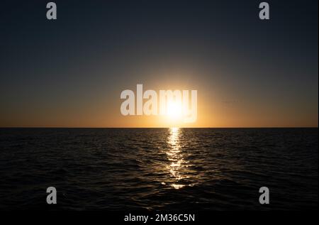 The sun sets over the horizon. In the foreground the sea reflecting the sun. A flock of birds flies towards the sun. The sky and the water are dark. Stock Photo