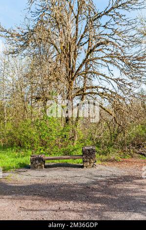 A rustic stone and log bench on the trail near Mt Pisgah Arboretum, Coast Fork Willamette River at park near Springfield, Oregon. Stock Photo