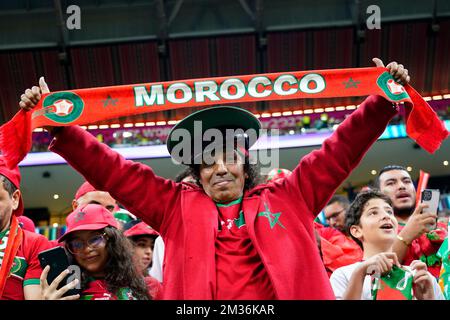 Al Khor, Qatar. 14th December 2022; Al Bayt Stadium, Al Khor, Qatar; FIFA  World Cup Football Semi Final, France versus Morocco; Torcedor do Marrocos,  momentos antes da partida entre França e Marrocos