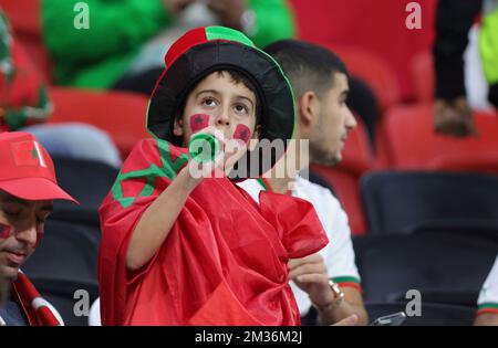 Doha, Katar. 14th Dec, 2022. firo : 14.12.2022, Football, Soccer, FIFA WORLD CUP 2022 QATAR, World Cup 2022 Qatar, World Cup 2022 Qatar, Semifinals, Match 62, France - Morocco Fans, Morocco Credit: dpa/Alamy Live News Stock Photo