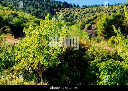 The San Millán Suso Monastery was founded by San Millán in the 6th century. The monastery consists of hermits' caves and a church. It forms part of th Stock Photo