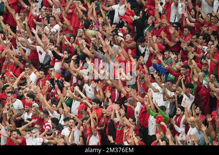 Al Khor, Qatar. 14th December 2022; Al Bayt Stadium, Al Khor, Qatar; FIFA  World Cup Football Semi Final, France versus Morocco; Torcedor do Marrocos,  momentos antes da partida entre França e Marrocos