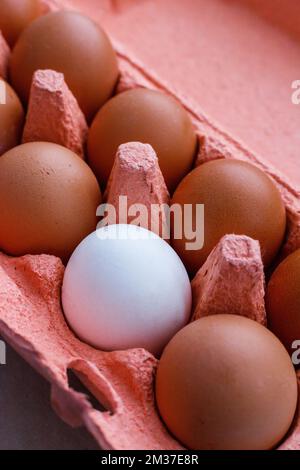 Open egg box with ten brown eggs close up view. Fresh organic chicken eggs in carton pack or egg container Stock Photo