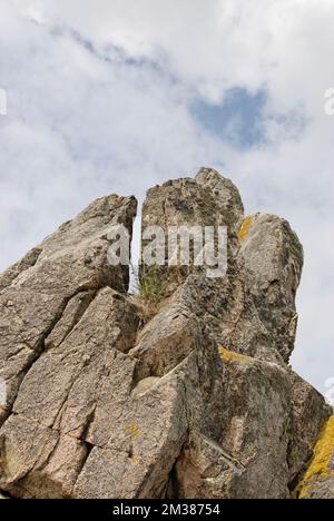 Column between vegetation Stock Photo - Alamy