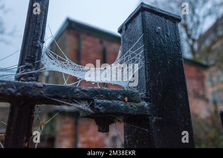 Water droplets on a spides web attached to a black painted steel rail. Stock Photo