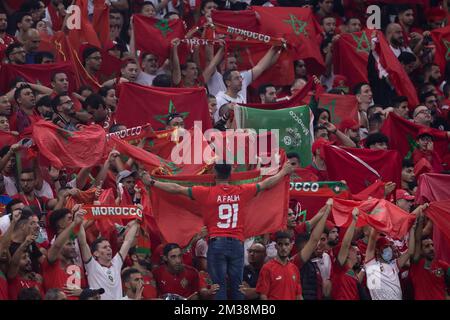 Doha, Brazil. 14th Dec, 2022. Qatar - Doha - 12/14/2022 - 2022 WORLD CUP, FRANCE X MOROCCO - Moroccan fans during a match against France at the Lusail stadium for the 2022 World Cup championship. Photo: Pedro Martins/AGIF/Sipa USA Credit: Sipa USA/Alamy Live News Stock Photo