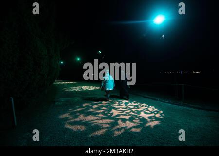 Blenheim Palace Light Trail, 13th December 2022 Stock Photo