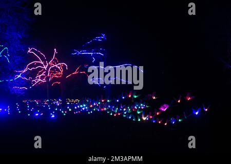 Blenheim Palace Light Trail, 13th December 2022 Stock Photo