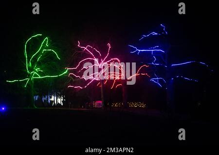 Blenheim Palace Light Trail, 13th December 2022 Stock Photo