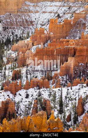 Close up view of bryce canyon national park hoodoos in winter in souther utah usa showing oranges and whites during the day. Stock Photo
