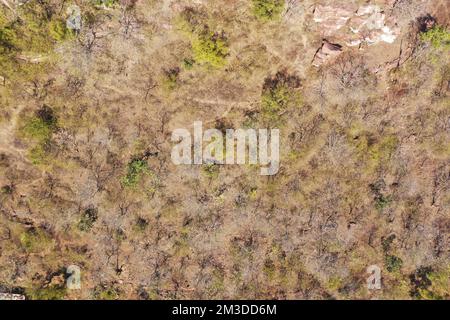 Aerial View of Narsinghgarh Fort and surrounding areas located in Madhya Pradesh, India Stock Photo