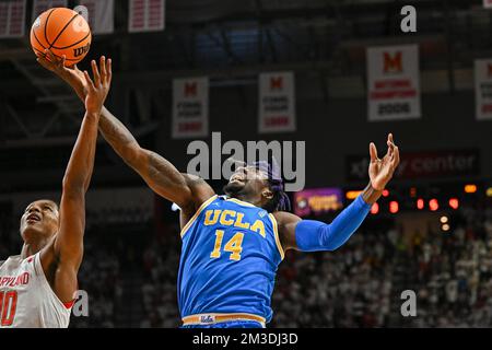 College Park, MD, USA. 14th Dec, 2022. UCLA Bruins forward Kenneth Nwuba (14) grabs a rebound during the NCAA basketball game between the UCLA Bruins and the Maryland Terrapins at Xfinity Center in College Park, MD. Reggie Hildred/CSM/Alamy Live News Stock Photo