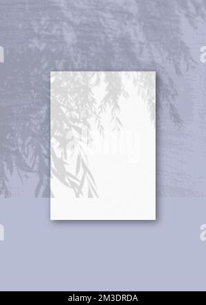 A vertical A4 sheet of white textured paper on the blue wall background. Mockup overlay with the plant shadows. Natural light casts shadows from a wil Stock Photo
