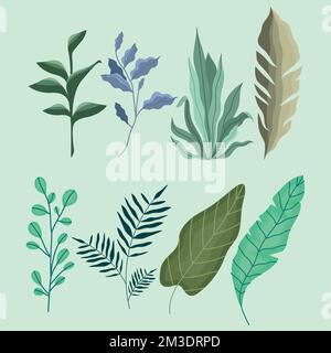 eight plants garden nature icons icons Stock Vector