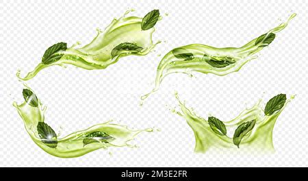 Splash of green tea with mint, matcha isolated on transparent background. Vector realistic set of liquid waves of falling and flowing water, menthol drink, cold tea with peppermint leaves Stock Vector